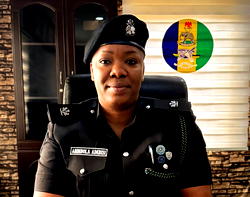 Police probe alleged assault on retired CSP after Vanguard report