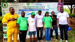 Obasanjo leads health walk to mark World Diabetes Day