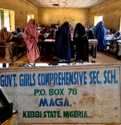 Full List: Kebbi LG chairman releases names of 25 abducted schoolgirls