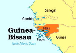 Nigeria provides protection to Guinea-Bissau opposition candidate amid coup