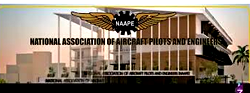 Pilots, engineers to get loss of licence insurance – NAAPE