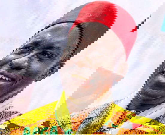 APGA’s Soludo wins Anambra governorship election