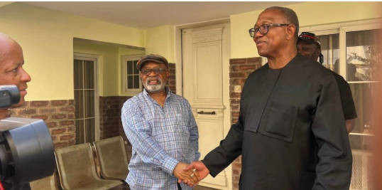 Peter Obi visits Ngige after convoy attack