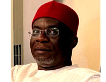 2027: It’s Ekeremor turn to produce senator after 20 years, says ex-aide to Jonathan, Obriki