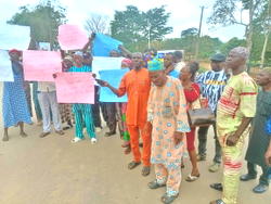 Protest rocks Ondo community over invasion, destruction of farmlands by land grabbers