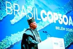 COP30: Nigeria’s agenda must push climate health action