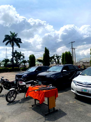 Police arrest 30 for robbery, cultism in Imo