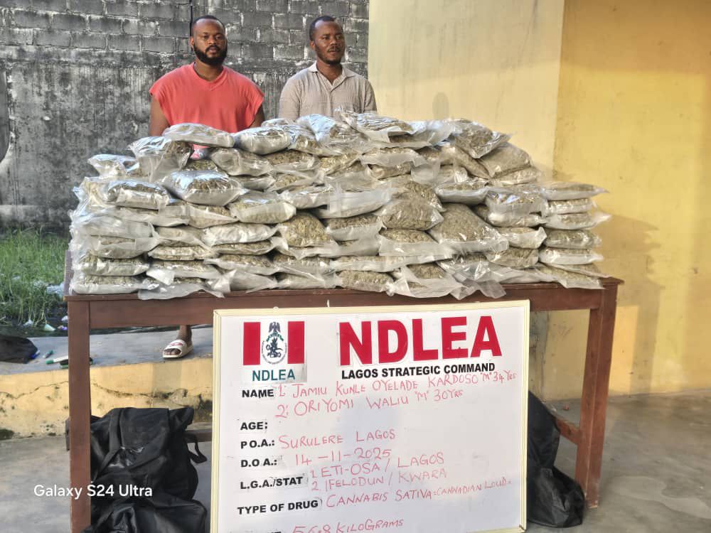 NDLEA seizes over 14,440kg of Skunk across six states, nabs wanted drug baron