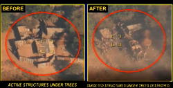 NAF jets conduct precision strikes on terrorist enclaves in Sambisa Forest