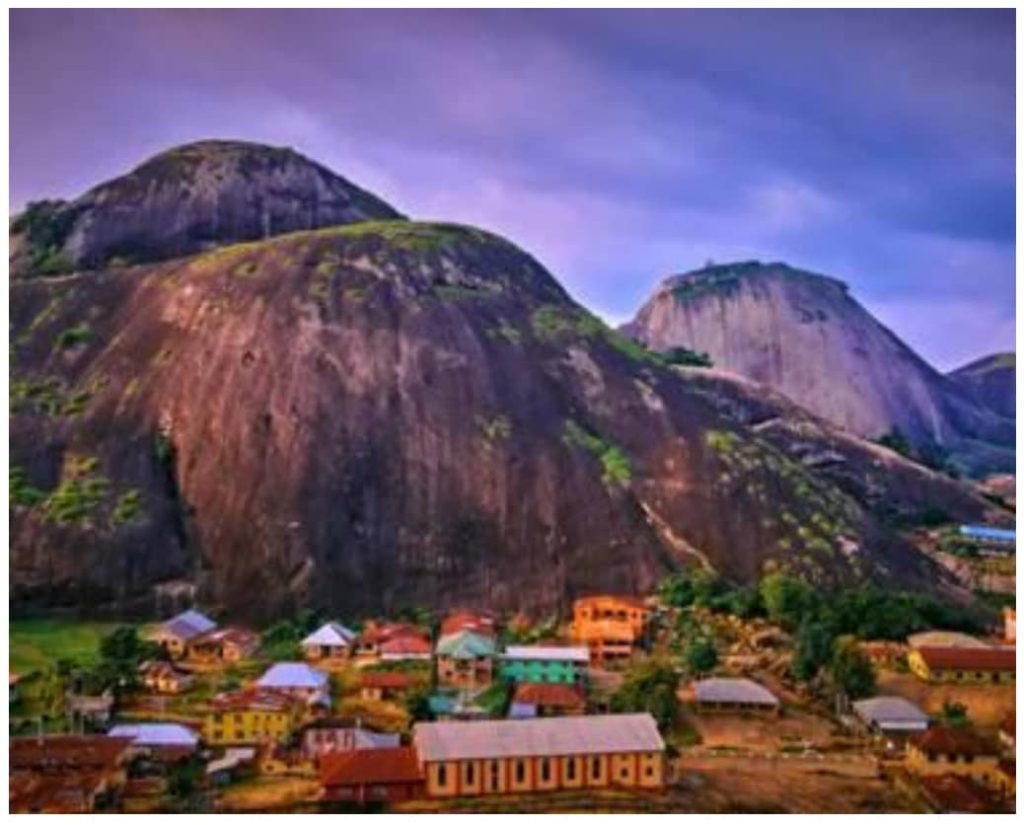 Harmony in nature: A community among giants