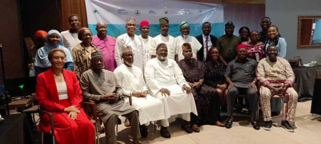 Digital rights: Senate seeks protection of minors as ASFF, others forge new consensus