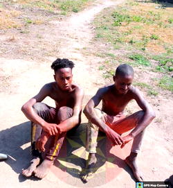 Troops arrest two herders destroying crops during Benue farmland patrol