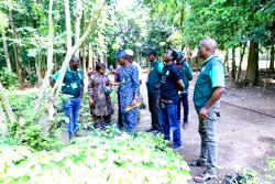 IITA Forest Center unveils Nigeria’s first certified Tree Heritage Park