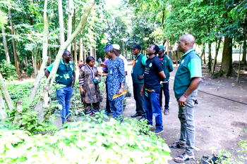 IITA Forest Center unveils Nigeria’s first certified Tree Heritage Park