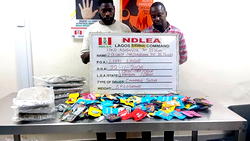 NDLEA uncovers illicit drugs packaged as Christmas cookies