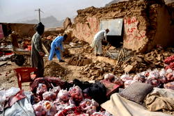 Afghan govt says quake kills 20, injures over 500