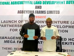 Cassava Production: NALDA, Agbeyewa Farms partner to clear 5,000 hectares