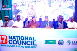 FG vows to sustain decline in food prices with interventions