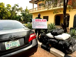 Troops seize 108kg of cannabis, arrest suspect in Kogi