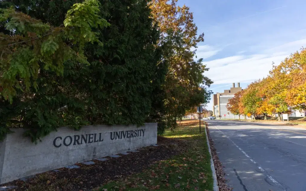 Cornell University to pay $60m for Trump to restore federal funding