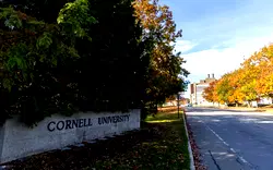 Cornell University to pay $60m for Trump to restore federal funding