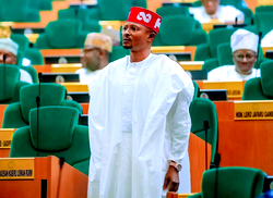 Abejide fights back as expelled ADC members move to void his mandate