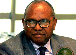 National Interest: Anya, Aganga, Akande, others chart way forward for Nigeria