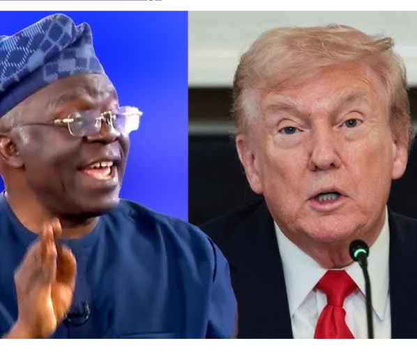 Trump lied about Christian genocide in Nigeria, hates Africa  —  Falana