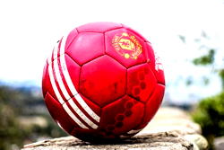 How to Avoid Common Pitfalls in Betting with Bizbet