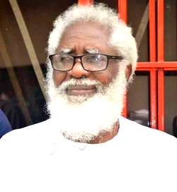 Trump: Nigeria should not be punished for actions carried out by imported terrorists — Amb Farounmbi