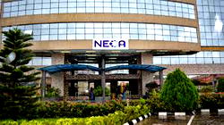 Fuel import tariff will strengthen Naira, spur investment — NECA