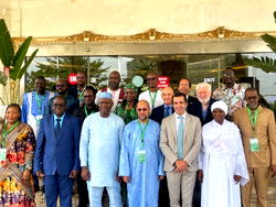 Nigeria’s livestock sector contributes $32bn to GDP – FG