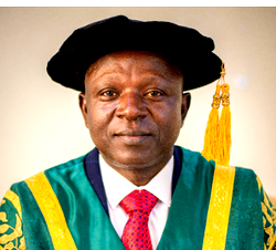Bingham University marks 20th anniversary, holds 6th convocation ceremony