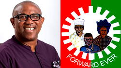 Labour Party apologises to Nigerians after Obi’s defection to ADC