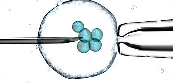 AI tools help choose best embryos for IVF