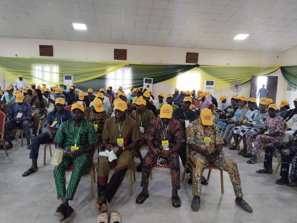 Accord governorship primary