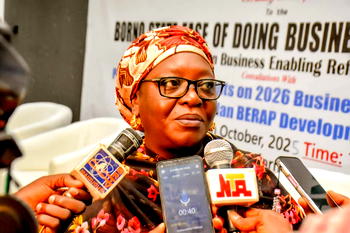 Borno secures over $300m in strategic investments across agriculture, energy, others