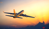 AON condemns airline picketing, warns of investor confidence loss