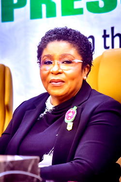 December 31 Deadline: Federal Civil Service hits paperless milestone as 38 ministries, others go digital