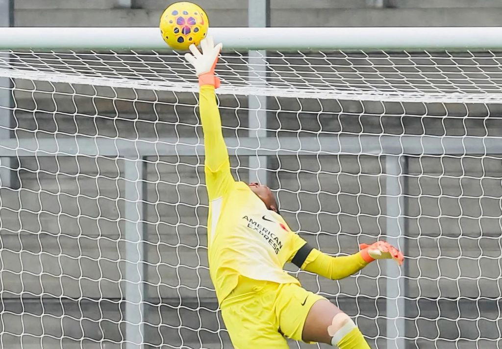 WSL: Super Falcons’ goalie, Nnadozie wins ‘Save of the Month’