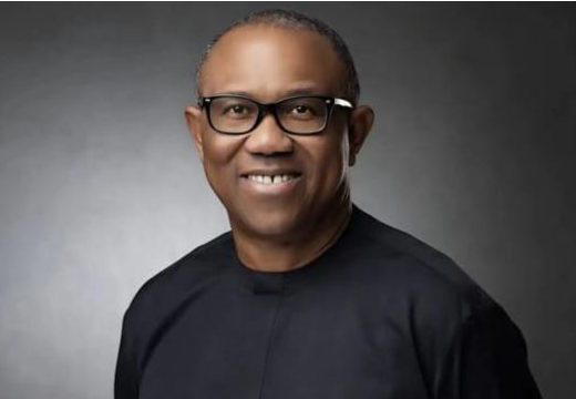 2027: NDC screens Peter Obi for presidential primaries 2027: NDC screens Peter Obi for presidential primaries
