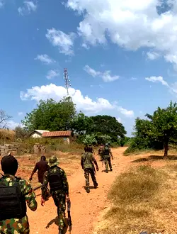 Troops neutralise over 23 bandits in Kano-Katsina onslaught