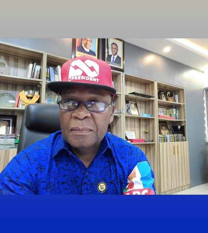 Group calls for accountability, urges Joe Igbokwe to reorient political conduct