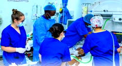 Little hearts, big battles: How Hospitals for Humanity is saving Nigeria’s most vulnerable children