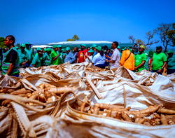 Africa has the potential to meet global demand for cassava – Former Botswana President Masisi