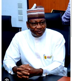 Al-Minuki’s death, turning point in anti-terror war – Ex-Army spokesman