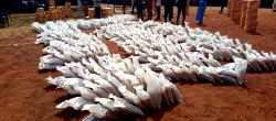 SERHA drives renewed hope agenda with food distribution in Enugu