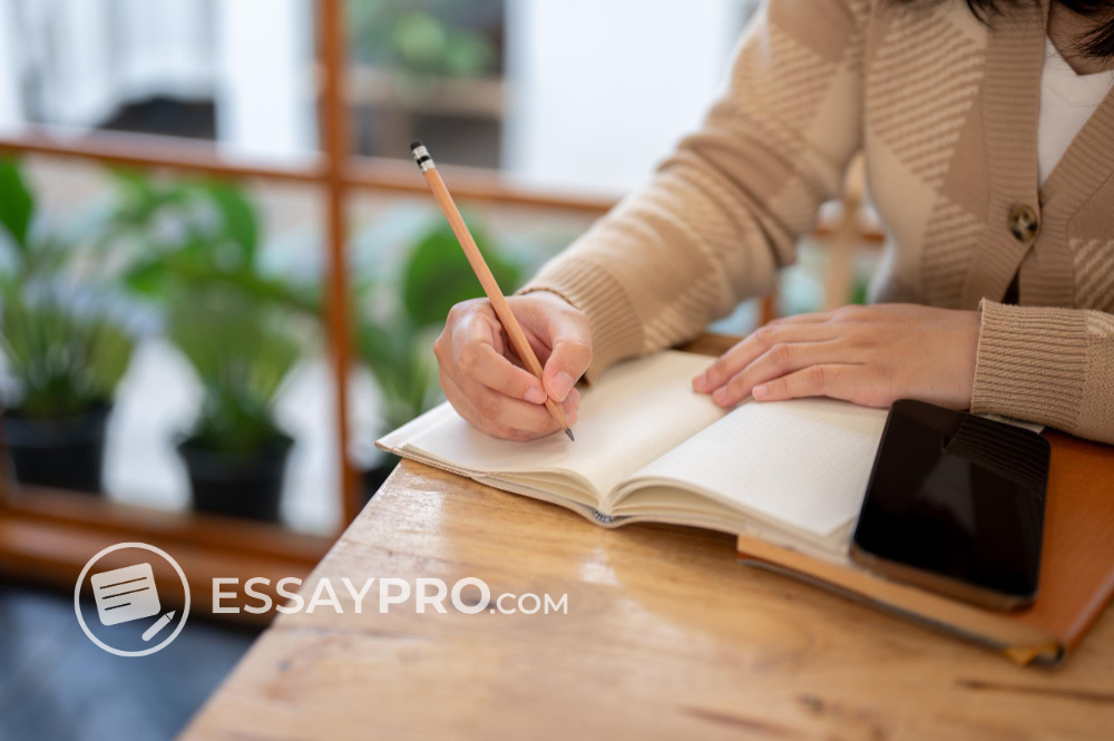 Top 3 Best Essay Writing Services Students Can Rely On — Tried & Tested, Reviews