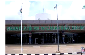 Bird strike grounds flight, triggers passenger riot at Abuja Airport