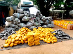Customs intercepts illicit drugs, other contraband worth over N2.6bn in Ogun